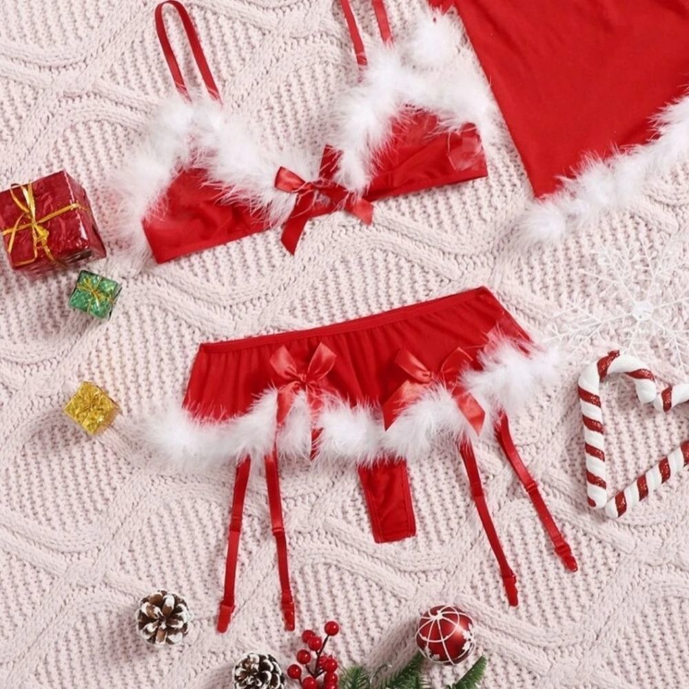 Ms Claus Santa Girl Costume Lingerie Set